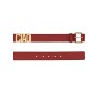 "HELLO" BELT