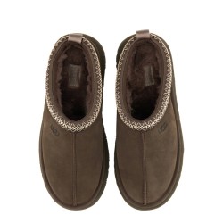SABOT "TAZZ"