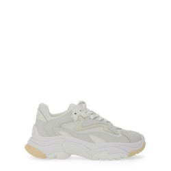 SNEAKER "ADDICT"
