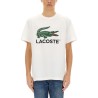 COTTON T-SHIRT WITH PRINT