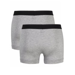 CONFECTION OF TWO BOXERS