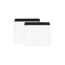 CONFECTION OF TWO BOXERS