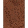 Lora Shiny Strass Leopard one-piece swimsuit