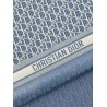 Dior Oblique silk foulard