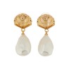 SHELL EARRINGS