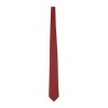 TWIST PRINT TIE