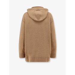 Liana wool and cashmere hooded sweater
