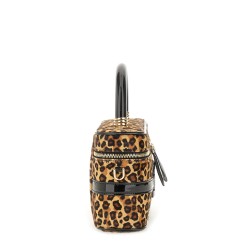 MINI "VANITY BELLE VIVIER" BAG