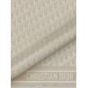Dior Oblique silk twill foulard