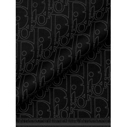 Dior Gravity wool and silk scarf