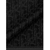 Dior Gravity wool and silk scarf