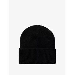 Ashley Beanie with Logo