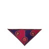 ASTRO PRINT TRIANGLE SCARF