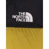 Retro Nuptse bicolor down jacket