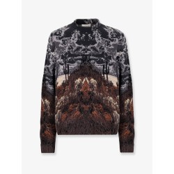 Cotton and wool sweatshirt