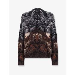 Cotton and wool sweatshirt
