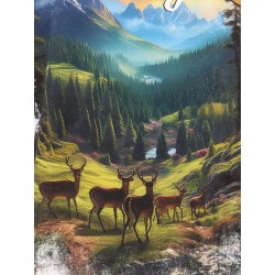 Loose Fit cotton t-shirt