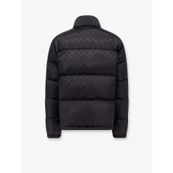 Down Jacket with Celine Triomphe motif