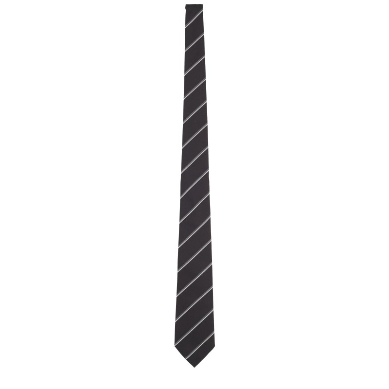 WIDE STRIPED TIE