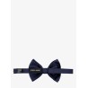 Silk bow tie