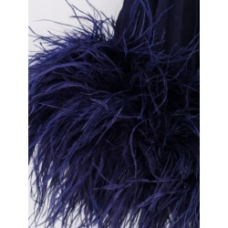 Chiffon long dress with ostrich feathers