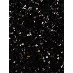 Skirt with sequins embroidery