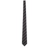 WIDE STRIPED TIE