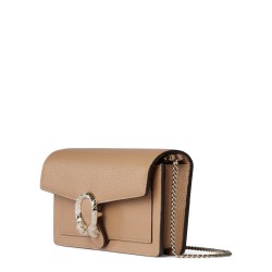 PORTFOLIO "DIONYSUS"