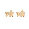 "STAR BALLON" EARRINGS