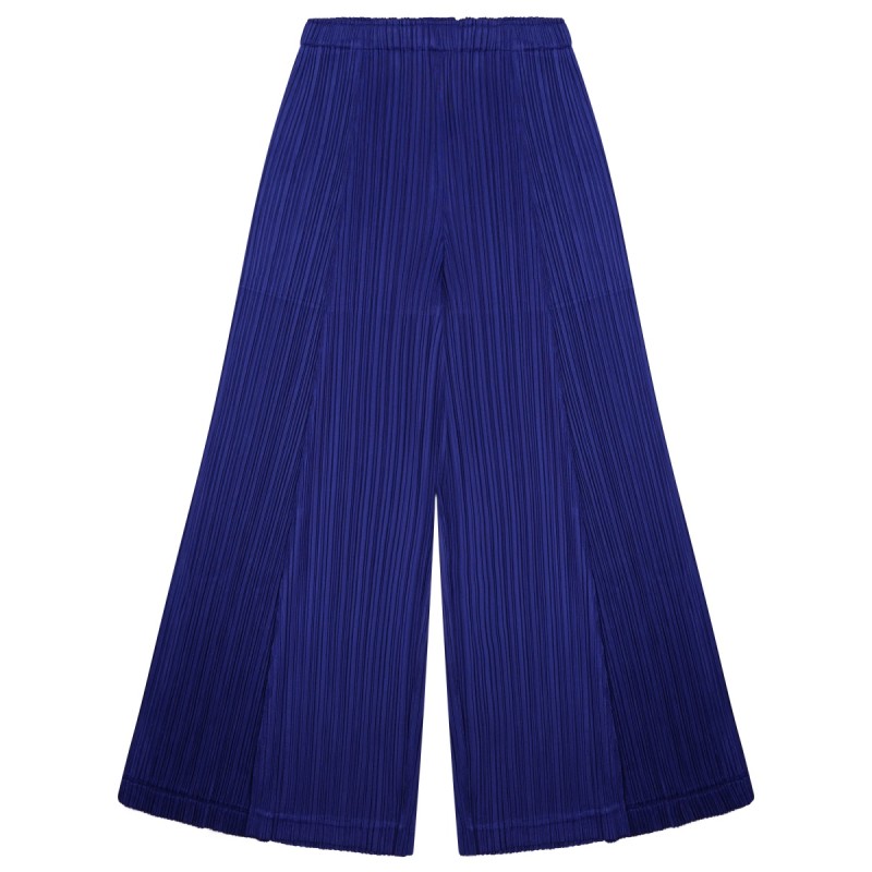 PLEATED PANTS