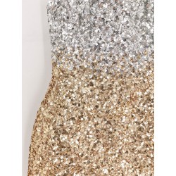 Kameron mini dress with sequins