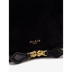 Le Pochon suede shoulder bag