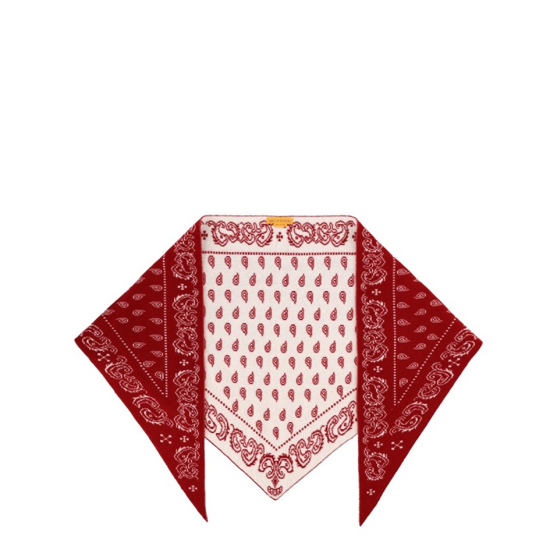 "THE WILD RAG" BANDANA