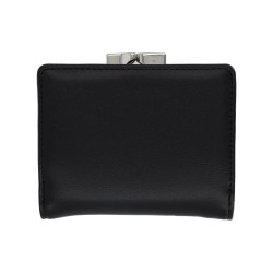 "SMALL FRAME" PORTFOLIO