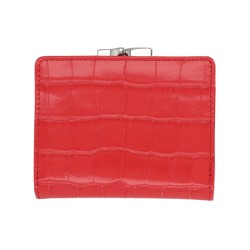 "SMALL FRAME" PORTFOLIO