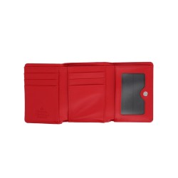 "SMALL FRAME" PORTFOLIO