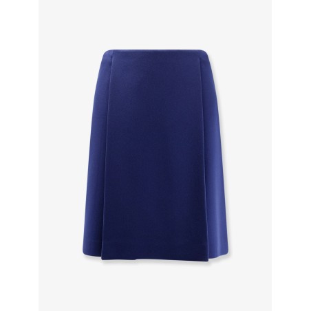 Skirt with pleats